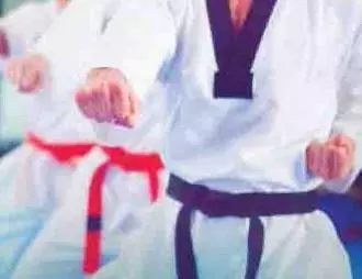 Martial Arts Area MartialArtsArea